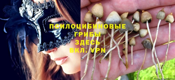 эйфоретик Армянск