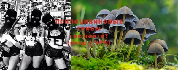 MESCALINE Арсеньев