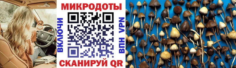 купить наркоту  Баймак  Псилоцибиновые грибы прущие грибы 
